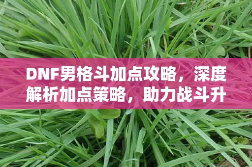 DNF男格斗加点攻略图片