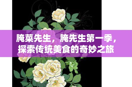 腌菜先生,腌先生第一季,探索传统美食的奇妙之旅 腌菜先生,腌先生第一季,探索传统美食的奇妙之旅