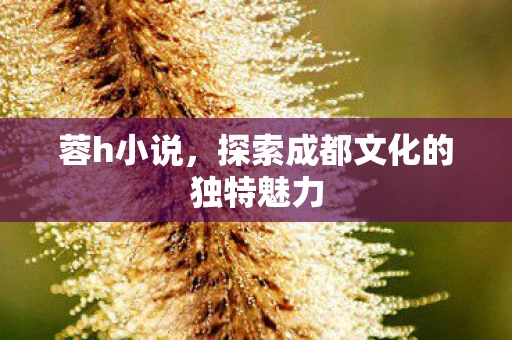蓉h小说，探索成都文化的独特魅力