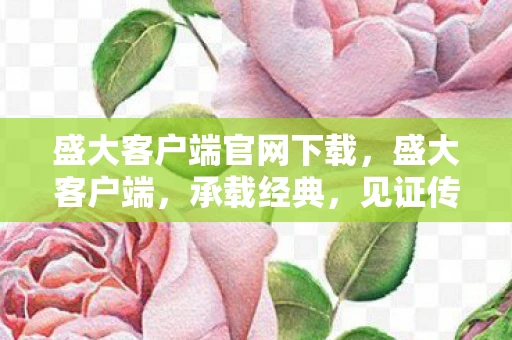 盛大客户端官网下载，盛大客户端，承载经典，见证传奇