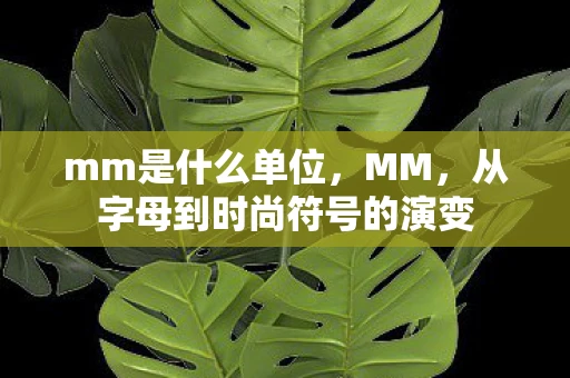 mm是什么单位，MM，从字母到时尚符号的演变