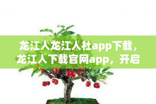 龙江人龙江人社app下载，龙江人下载官网app，开启智慧生活新篇章