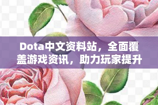 Dota中文资料站图片