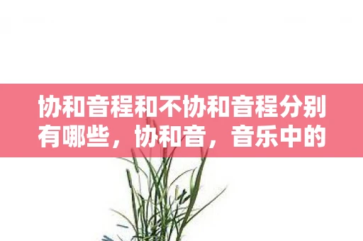 协和音程和不协和音程分别有哪些，协和音，音乐中的和谐之美