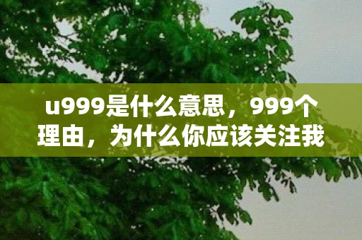 u999是什么意思,999个理由,为什么你应该关注我的自媒体账号 u999是什么意思,999个理由,为什么你应该关注我的自媒体账号