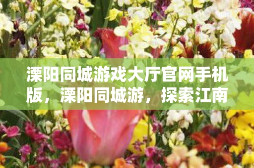 溧阳同城游戏大厅官网手机版，溧阳同城游，探索江南水乡的独特魅力