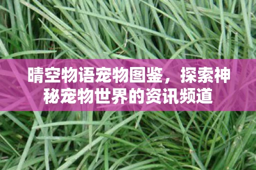 探索神秘宠物世界的资讯频道图片