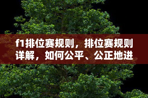 f1排位赛规则,排位赛规则详解,如何公平、公正地进行比赛 f1排位赛规则,排位赛规则详解,如何公平、公正地进行比赛