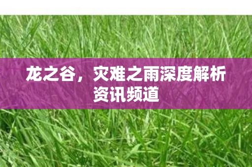 灾难之雨深度解析资讯频道图片