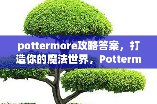 pottermore攻略答案，打造你的魔法世界，Pottermore全面攻略