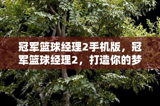 冠军篮球经理2手机版,冠军篮球经理2,打造你的梦幻阵容,征服篮坛! 冠军篮球经理2手机版,冠军篮球经理2,打造你的梦幻阵容,征服篮坛!