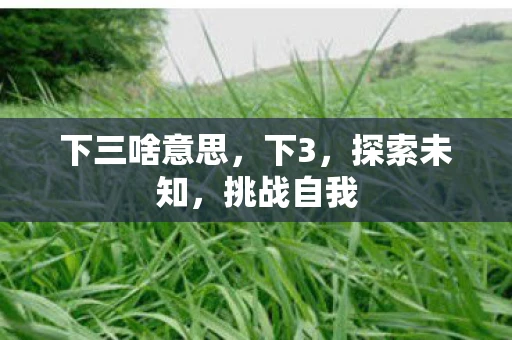 下三啥意思，下3，探索未知，挑战自我