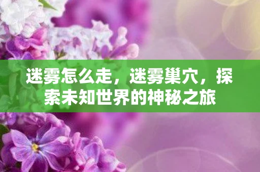 迷雾怎么走，迷雾巢穴，探索未知世界的神秘之旅