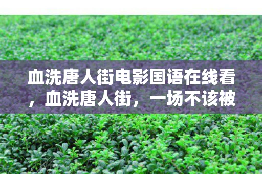 血洗唐人街电影国语在线看，血洗唐人街，一场不该被遗忘的历史悲剧
