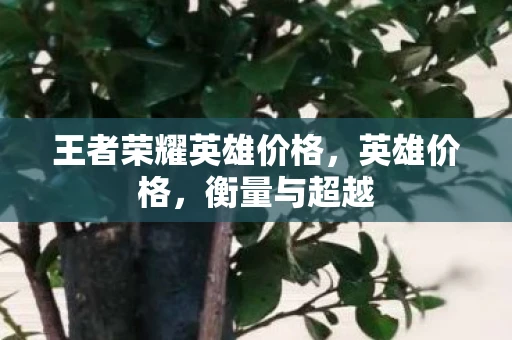 王者荣耀英雄价格，英雄价格，衡量与超越