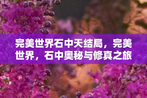完美世界石中天结局，完美世界，石中奥秘与修真之旅