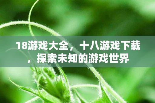 18游戏大全，十八游戏下载，探索未知的游戏世界