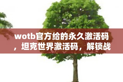 wotb官方给的永久激活码,坦克世界激活码,解锁战争机器的钥匙 wotb官方给的永久激活码,坦克世界激活码,解锁战争机器的钥匙