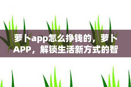萝卜app怎么挣钱的，萝卜APP，解锁生活新方式的智能助手