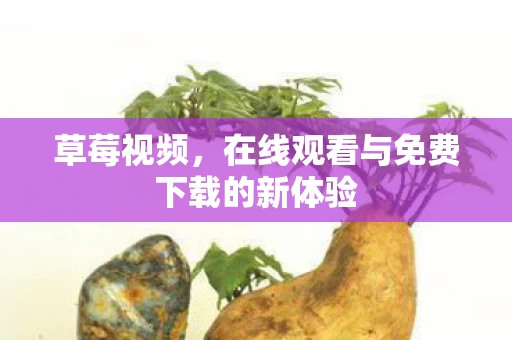 在线观看与免费下载的新体验图片