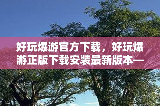 好玩爆游官方下载，好玩爆游正版下载安装最新版本—游戏爱好者的福音