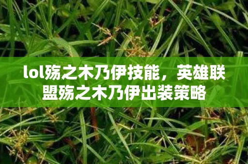 lol殇之木乃伊技能，英雄联盟殇之木乃伊出装策略