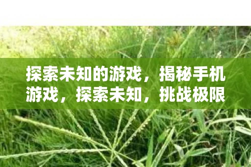 探索未知的游戏，揭秘手机游戏，探索未知，挑战极限—资讯频道