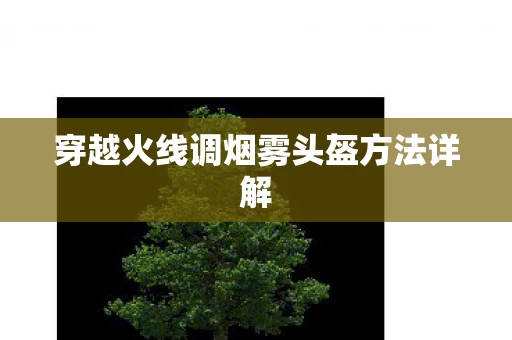 穿越火线调烟雾头盔方法详解图片