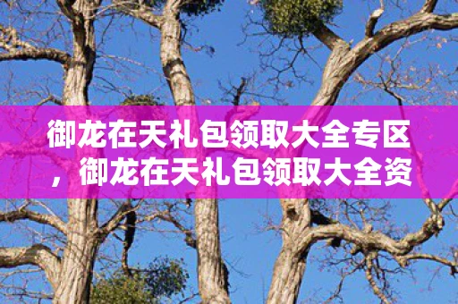 御龙在天礼包领取大全专区，御龙在天礼包领取大全资讯频道