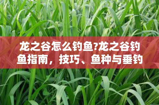 龙之谷怎么钓鱼?龙之谷钓鱼指南，技巧、鱼种与垂钓乐趣