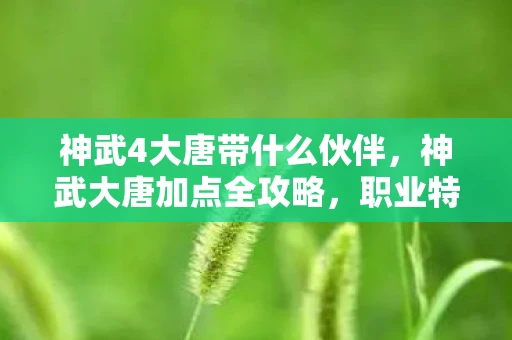 神武4大唐带什么伙伴，神武大唐加点全攻略，职业特性与个性风格