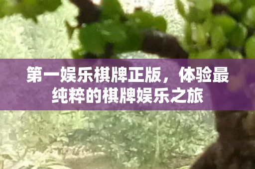 第一娱乐棋牌正版,体验最纯粹的棋牌娱乐之旅 第一娱乐棋牌正版,体验最纯粹的棋牌娱乐之旅