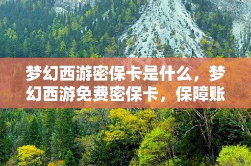 梦幻西游密保卡是什么，梦幻西游免费密保卡，保障账号安全的新选择