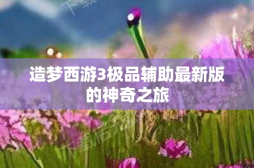 造梦西游3极品辅助最新版的神奇之旅图片