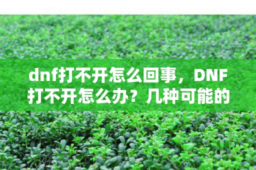 dnf打不开怎么回事,DNF打不开怎么办?几种可能的解决方案 dnf打不开怎么回事,DNF打不开怎么办?几种可能的解决方案