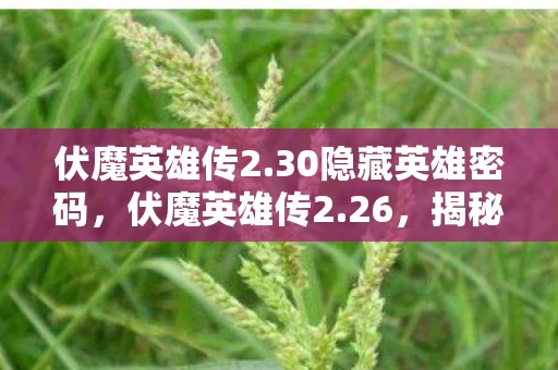 伏魔英雄传2.30隐藏英雄密码,伏魔英雄传2.26,揭秘隐藏英雄密码 伏魔英雄传2.30隐藏英雄密码,伏魔英雄传2.26,揭秘隐藏英雄密码