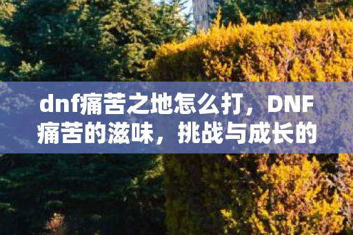 dnf痛苦之地怎么打，DNF痛苦的滋味，挑战与成长的心路历程
