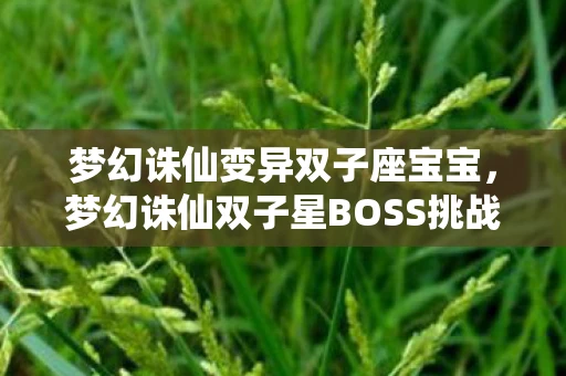 梦幻诛仙变异双子座宝宝,梦幻诛仙双子星BOSS挑战,策略与技巧的完美结合 梦幻诛仙变异双子座宝宝,梦幻诛仙双子星BOSS挑战,策略与技巧的完美结合