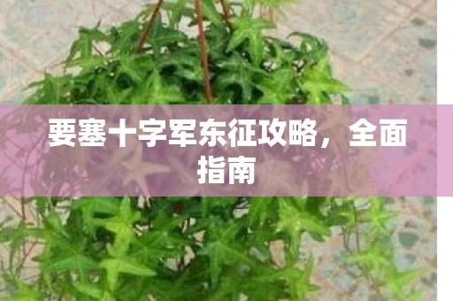 要塞十字军东征攻略,全面指南 要塞十字军东征攻略,全面指南