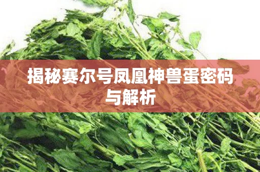揭秘赛尔号凤凰神兽蛋密码与解析图片