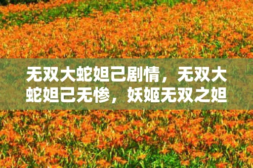 无双大蛇妲己剧情，无双大蛇妲己无惨，妖姬无双之妲己之秘揭秘