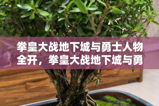 拳皇大战地下城与勇士人物全开，拳皇大战地下城与勇士刺客来袭，热血激战即将上演
