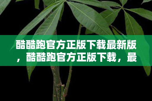 酷酷跑官方正版下载最新版,酷酷跑官方正版下载,最新v11.7.11版本体验分享与下载指南 酷酷跑官方正版下载最新版,酷酷跑官方正版下载,最新v11.7.11版本体验分享与下载指南