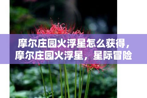 摩尔庄园火浮星怎么获得，摩尔庄园火浮星，星际冒险的新篇章