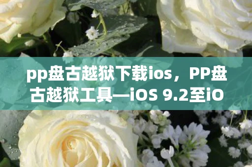 pp盘古越狱下载ios，PP盘古越狱工具—iOS 9.2至iOS 14.4设备用户的福音