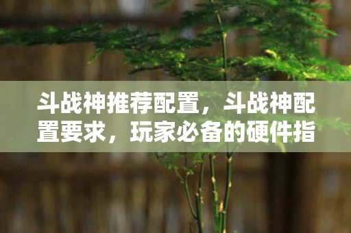 斗战神推荐配置，斗战神配置要求，玩家必备的硬件指南