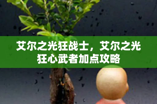 艾尔之光狂战士,艾尔之光狂心武者加点攻略 艾尔之光狂战士,艾尔之光狂心武者加点攻略