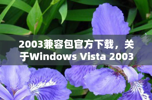 2003兼容包官方下载，关于Windows Vista 2003-2007兼容包游戏的相关内容分析资讯