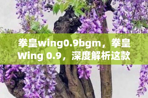 拳皇wing0.9bgm，拳皇Wing 0.9，深度解析这款经典游戏的魅力所在