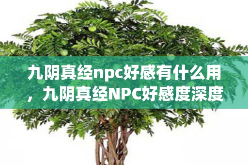 九阴真经npc好感有什么用，九阴真经NPC好感度深度解析资讯频道